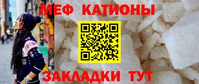 шишки Заволжье