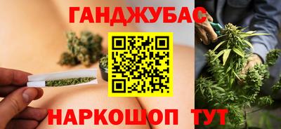 шишки Заволжье