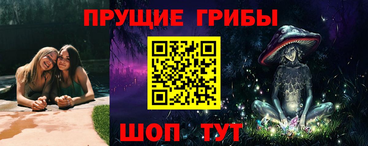 Псилоцибиновые грибы мухоморы Михайловск