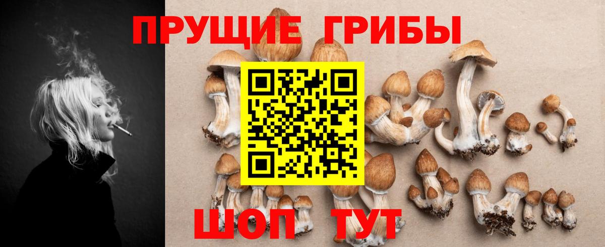 Галлюциногенные грибы ЛСД  Вход с VPN  Михайловск 
